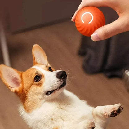 Interactive Smart Puppy Toy Ball